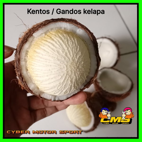 Kentos Gandos Kelapa Embrio Kelapa Gurih Lazada Indonesia