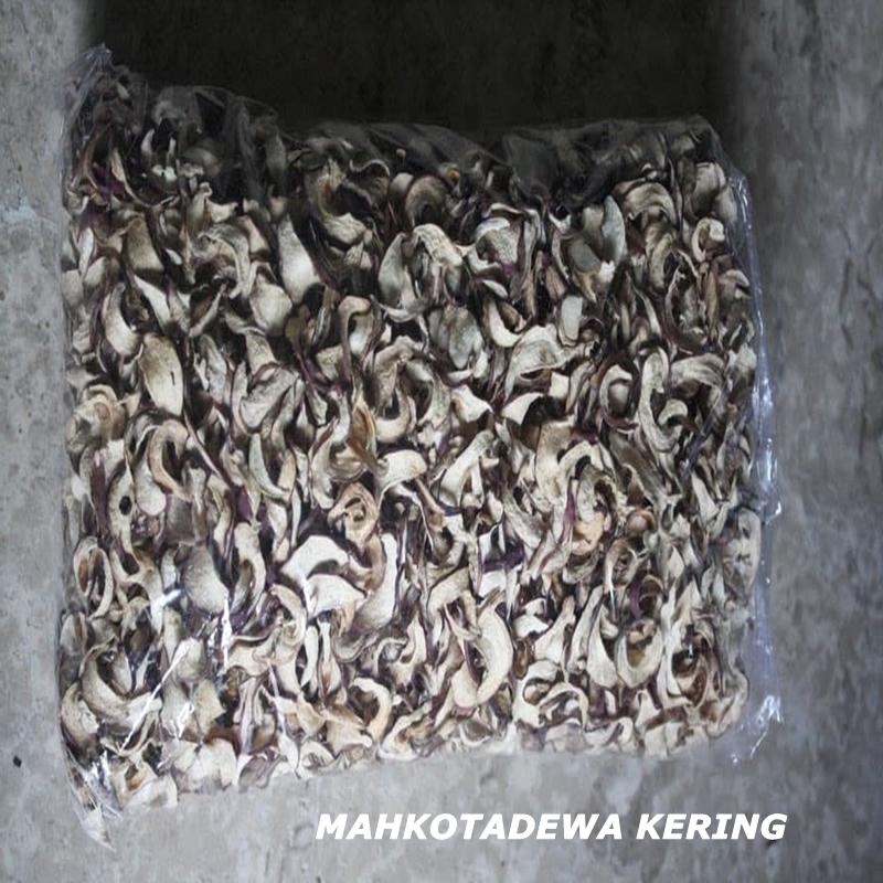 PROMO mahkota dewa mahkotadewa kering teh mahkota dewa 250 Gram higienis