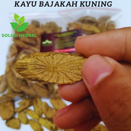 Kayu Bajakah Akar Kuning Asli Kalimantan Gram Lazada Indonesia