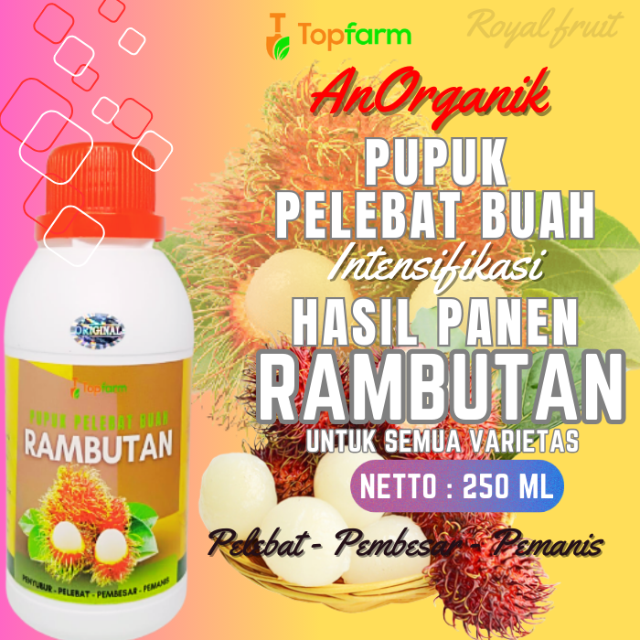 Pupuk Pelebat Buah Rambutan Pupuk Penyubur Buah Rambutan Pupuk