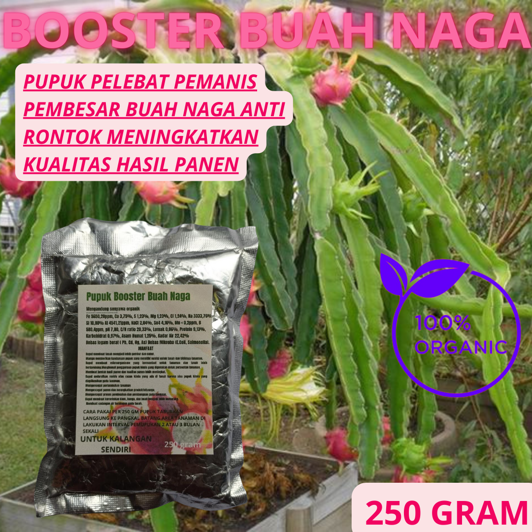 Pupuk Booster Pelebat Buah Naga Organik Pupuk Naga Pemacu Dan Pelebat