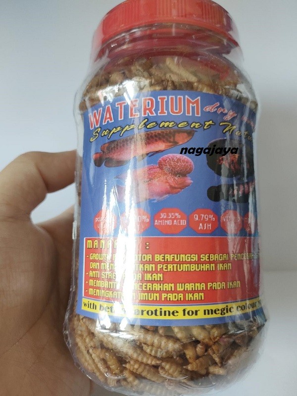 Magot Maggot Premium Waterium Ulat Kering Pakan Ikan Predator Lazada