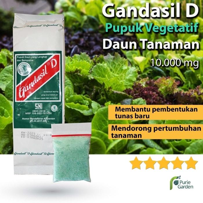 Pupuk Gandasil D Daun Npk Majemuk Fase Vegetatif Sayuran Tanaman Hias