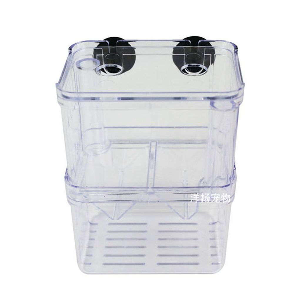 Yazhe Fish Tank Transparent Fish Isolation For Baby Fishes Guppy Fish