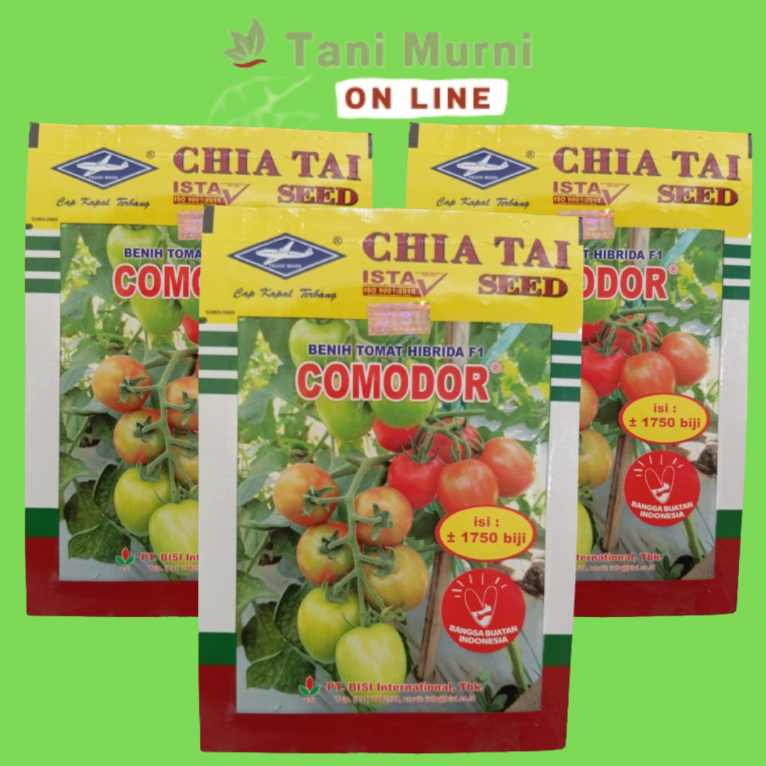 Benih Tomat Hibrida F1 COMODOR Chia Tai Seed Cap Kapal Terbang Lazada