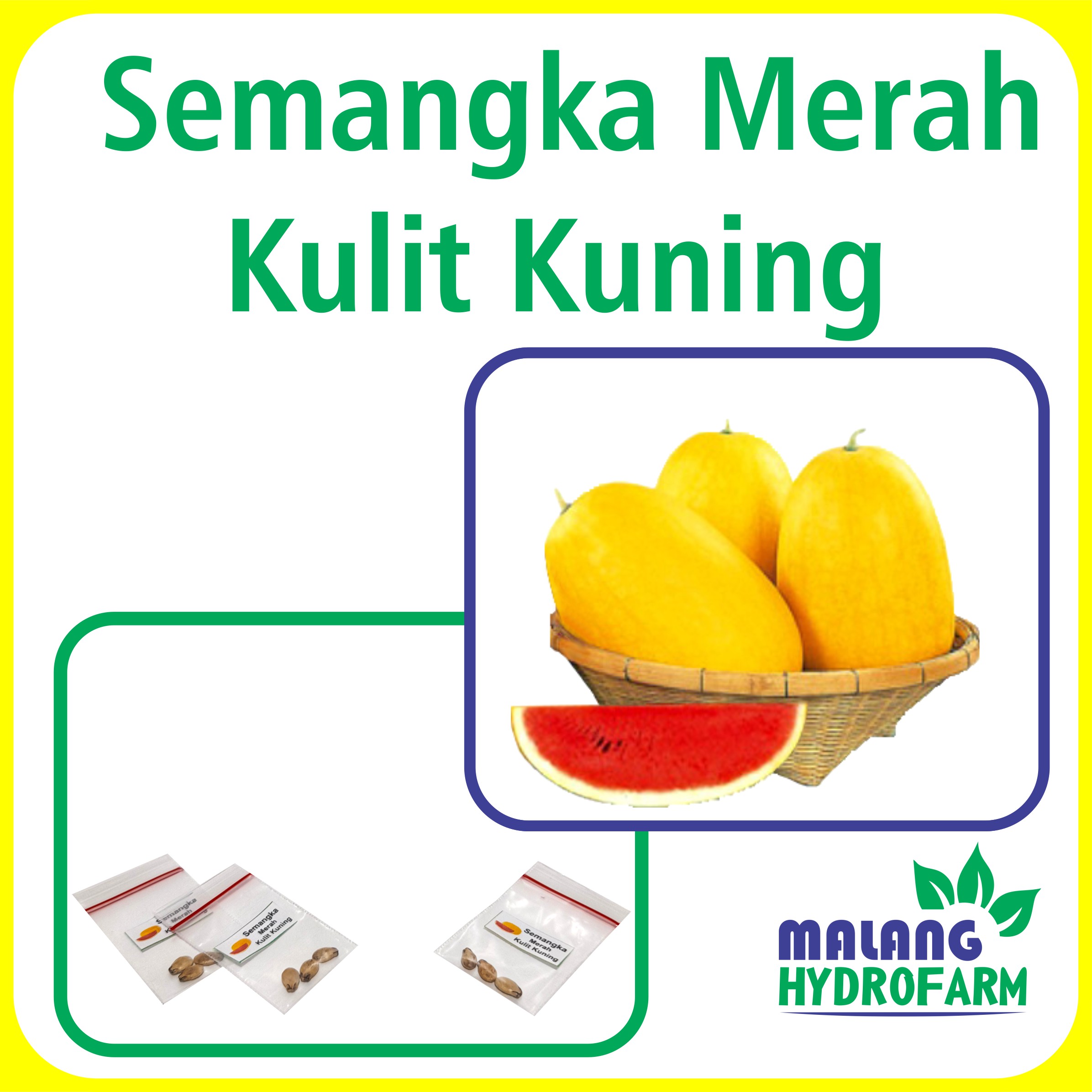 Benih Semangka Merah Kulit Kuning Unggulan Berkualitas Biji Bibit