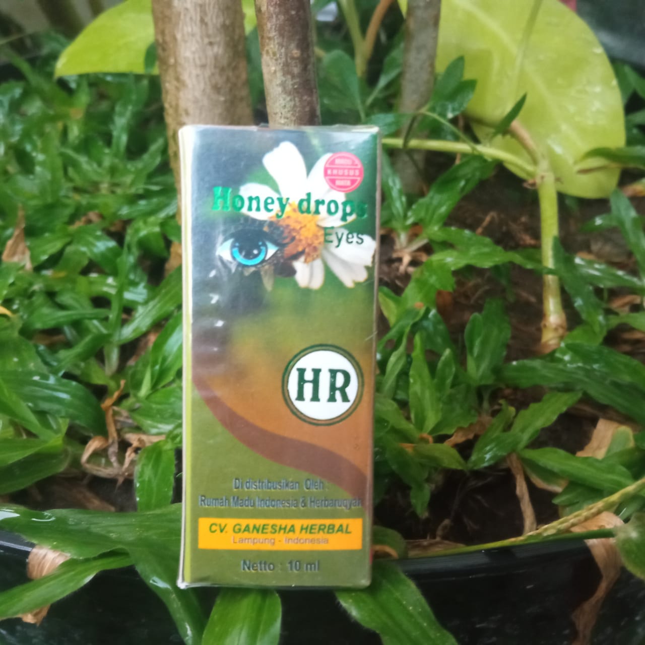 Obat Mata HONEYNoni Eye Herbal Mata Minus Plus Katarak Silinder Pandang