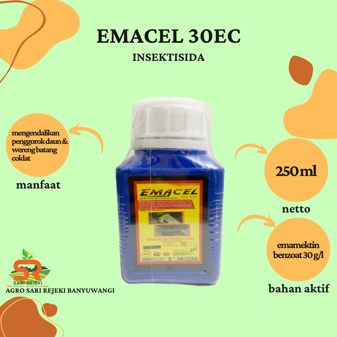 Emacel Ec Ml Insektisida Lazada Indonesia