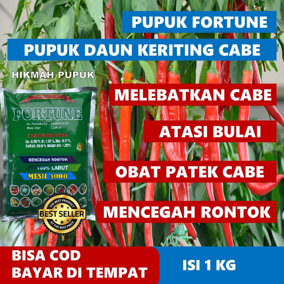 Bisa Cod Pupuk Fortune Kg Pupuk Penyubur Buah Cabe Paling Bagus