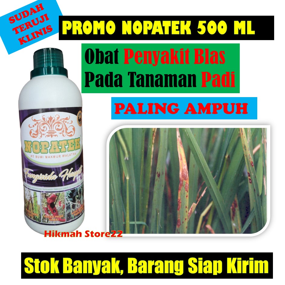 PROMO NOPATEK 500 ML Obat Penyakit Blas Pada Tanaman Padi Obat