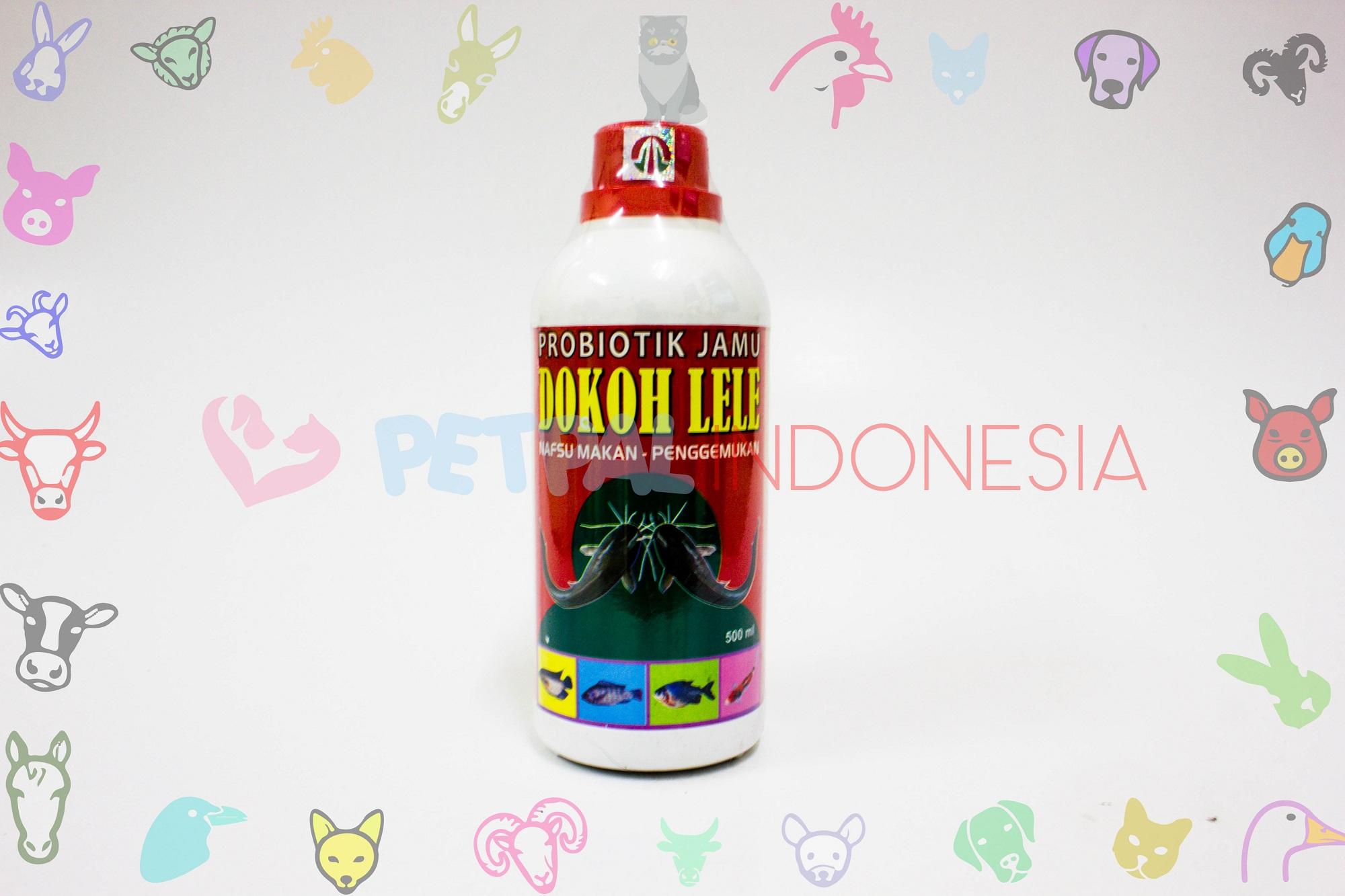 PROBIOTIK JAMU NDOKOH LELE NAFSU MAKAN - PENGGEMUKAN