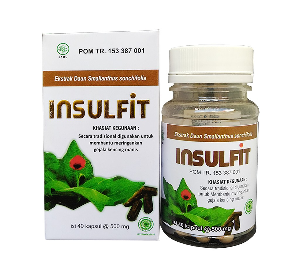 Insulfit Kapsul Ekstrak Daun Insulin Herbal Gula Darah Lazada Indonesia