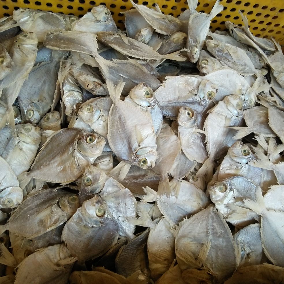 Ikan Asin Petek Kg Lazada Indonesia