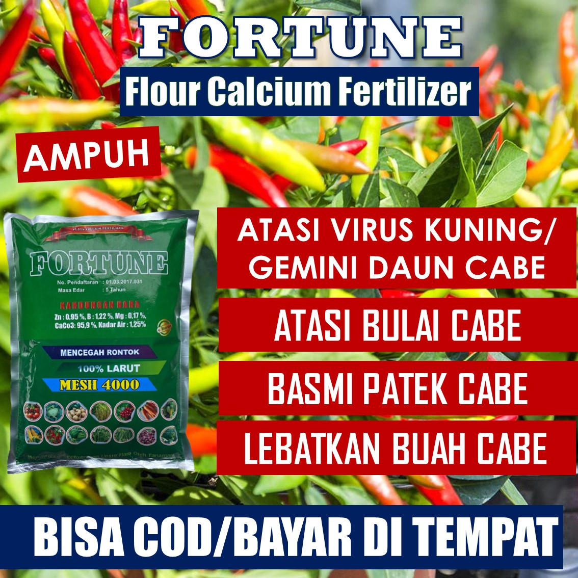 Pupuk Cabe Terbaik 1 Kg Fortune Obat Tanaman Cabe Daun Keriting