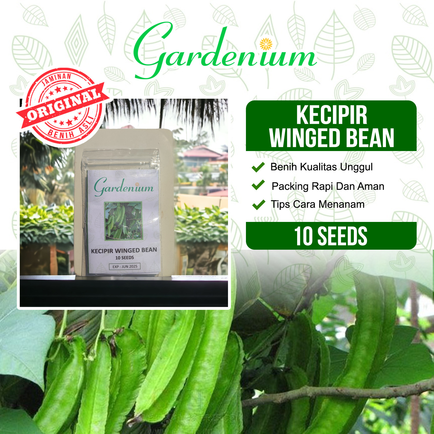 GARDENIUM Benih Kecipir Winged Bean Tanaman Sayur Unggul Lazada Indonesia