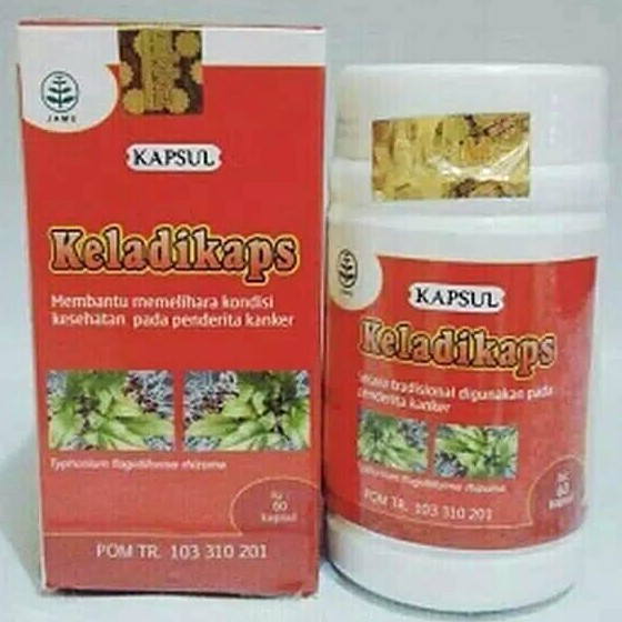 Kapsul Keladikaps Tazakka Daun Keladi Tikus Obat Herbal Untuk Kanker