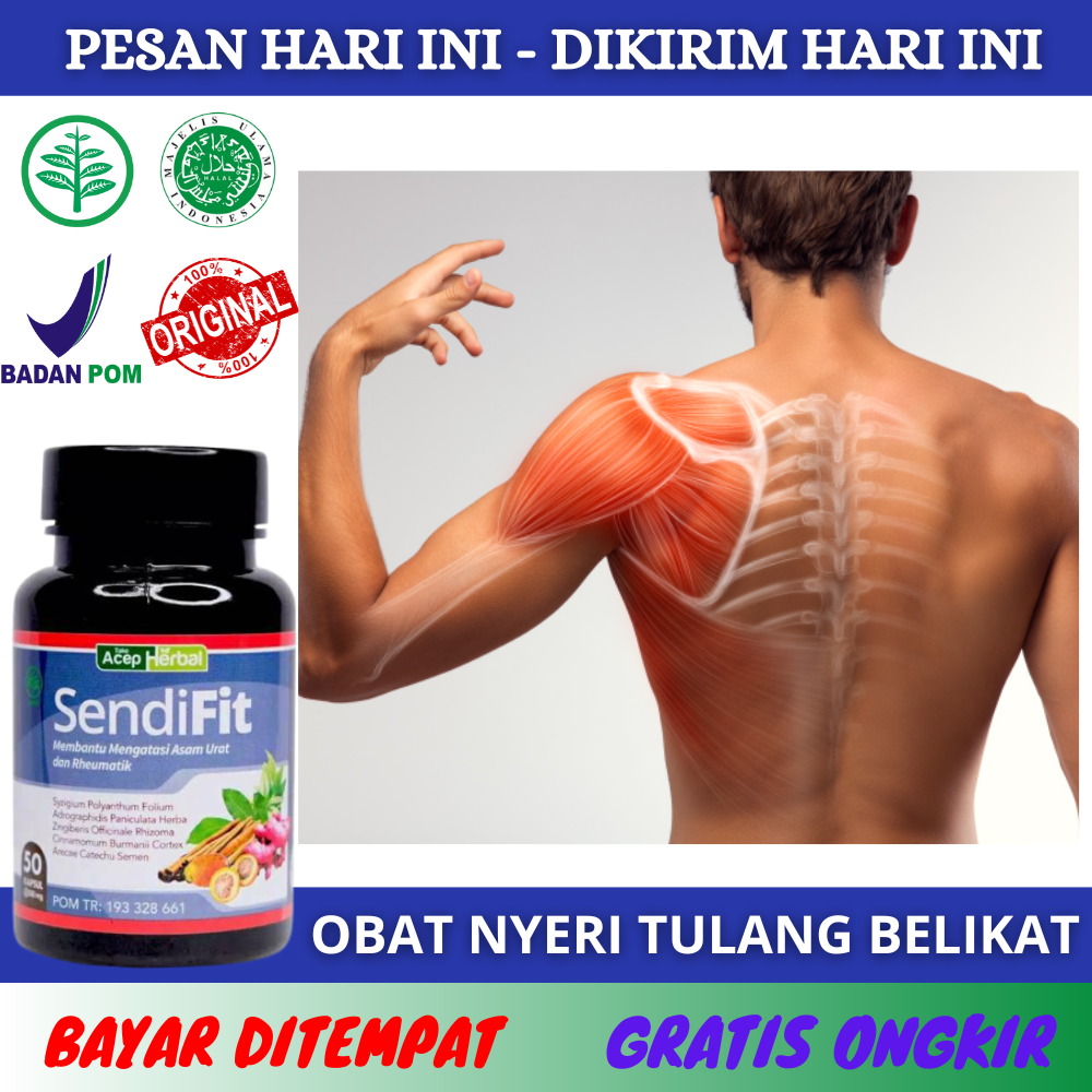 Obat Sakit Tulang Belikat Nyeri Tulang Belikat Jamu Tradisional Sakit