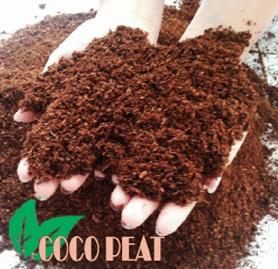 Cocopeat 500 Grm Coco Peat Cocopit Cocovit Media Tanam Hidroponik