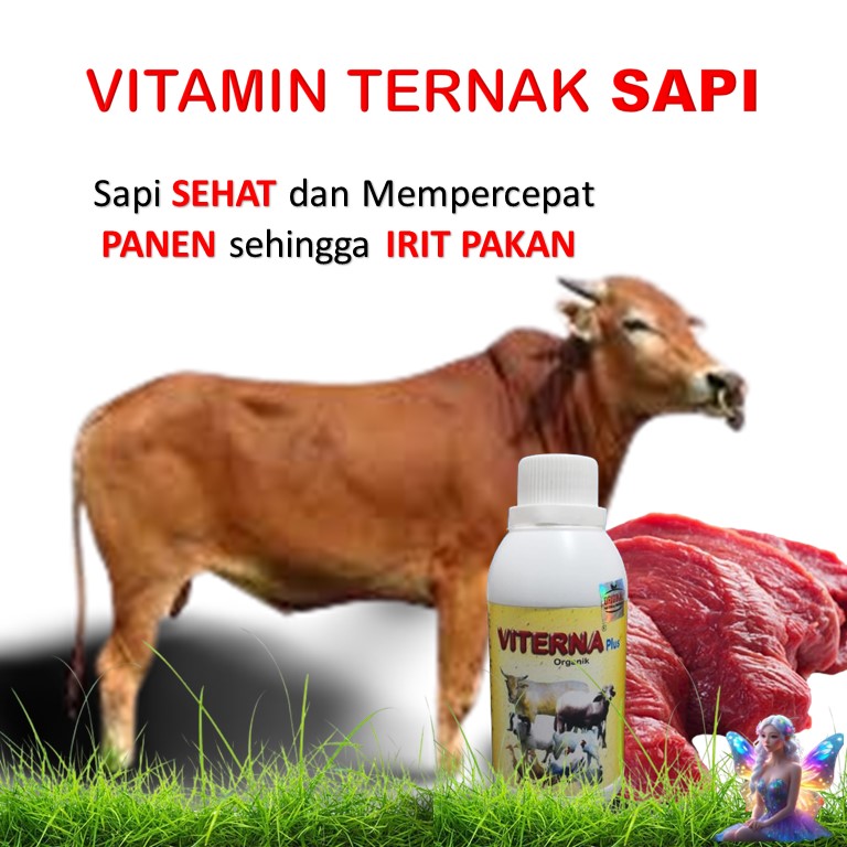 Vitamin Sapi Agar Cepat Gemuk Vitamin Ternak Sapi Vitamin Hewan