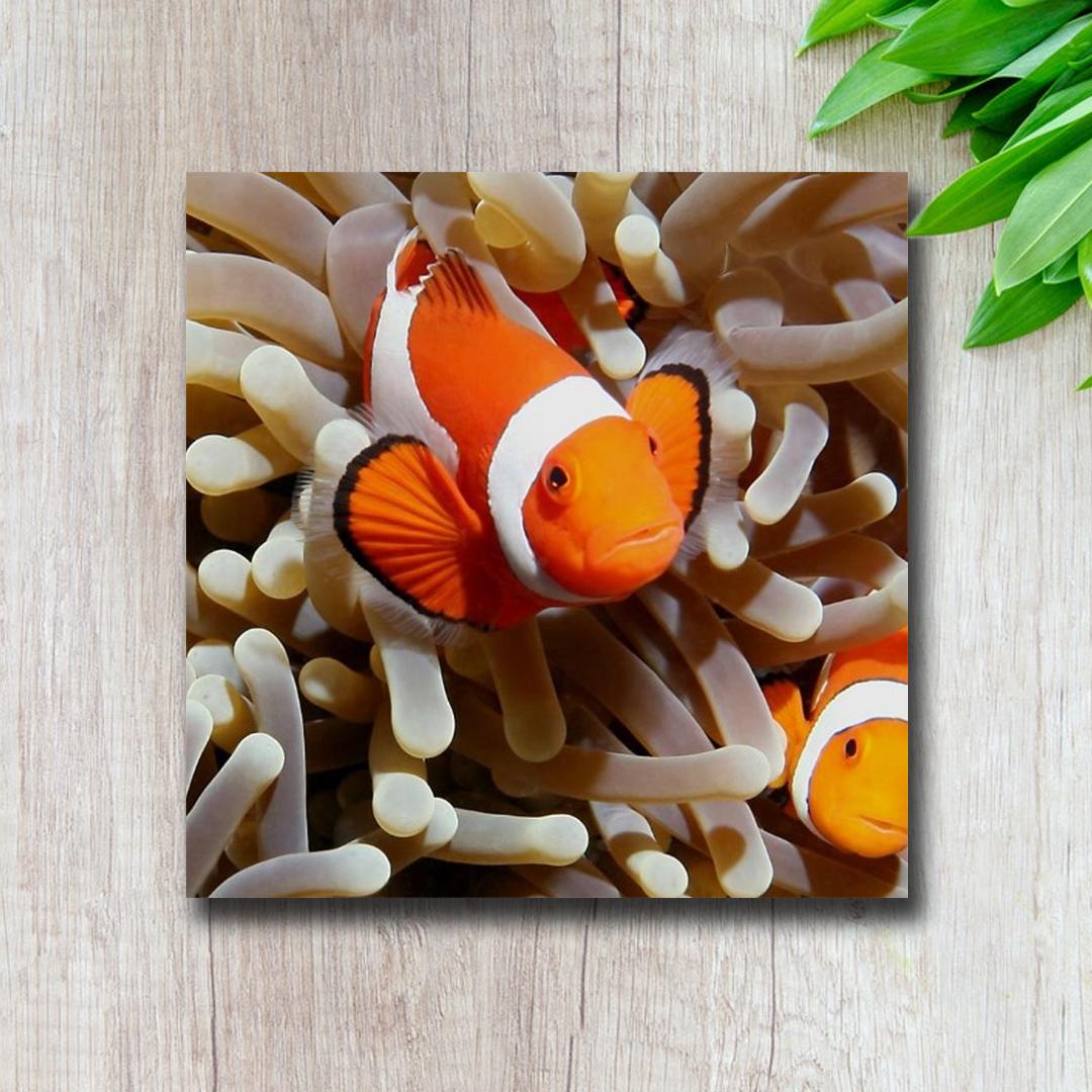 Walldecor Pajangan Dinding Hiasan dinding poster Animal S13