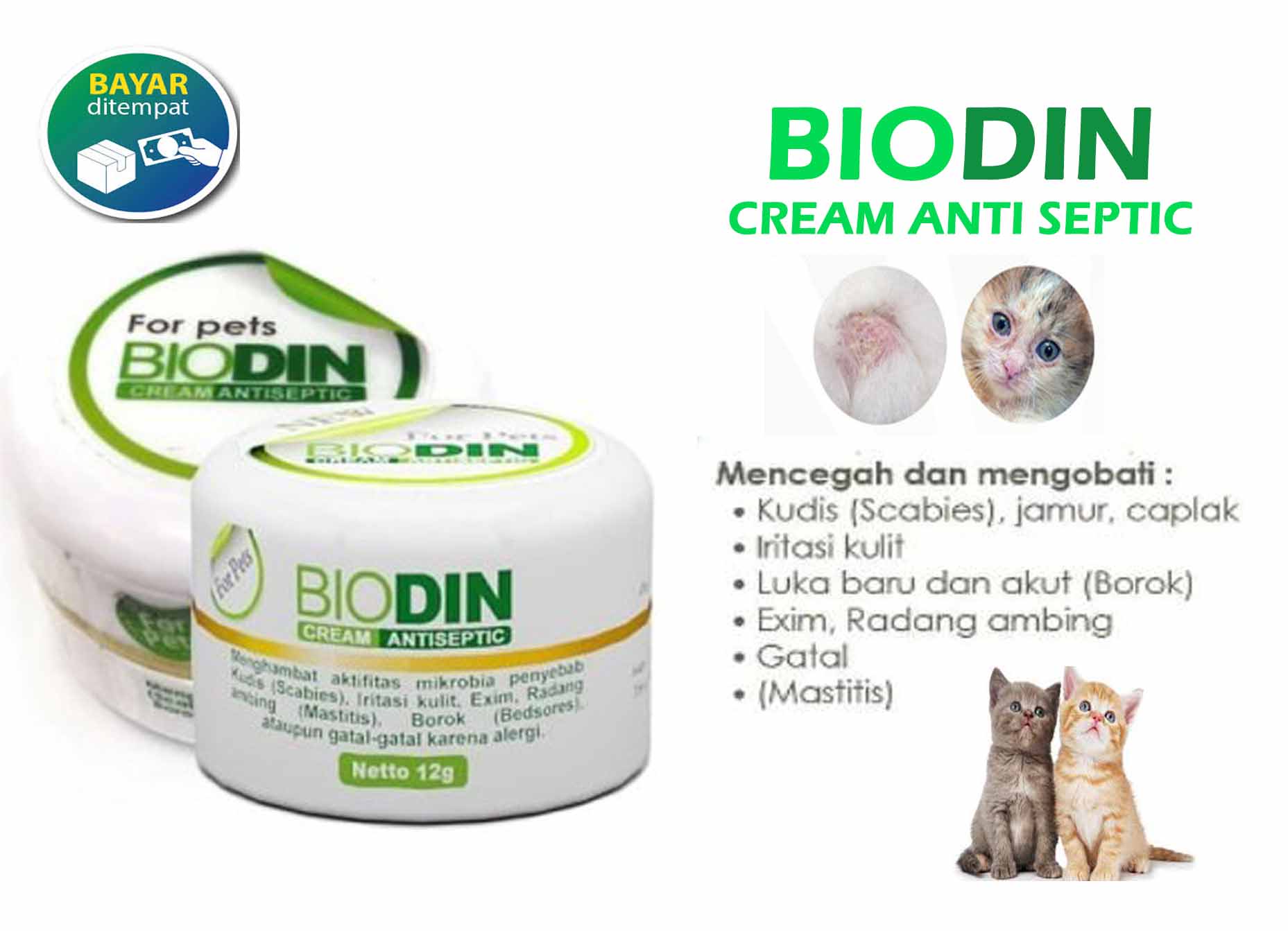 BIODIN CREAM ANTISEPTIC 12 Gr OBAT KULIT JAMUR SCABIES EKSIM LUKA