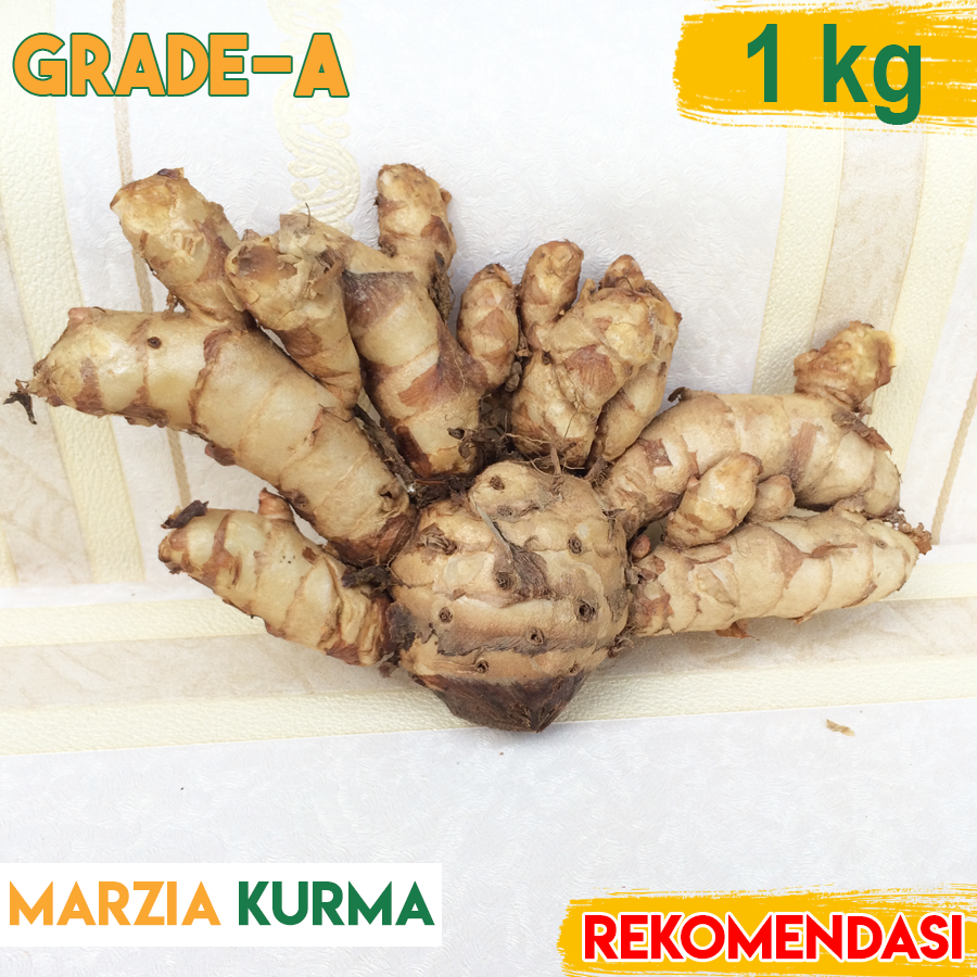 Temu Ireng Temu Hitam Curcuma Aeruginosa Harga Grosir 1kg Lazada