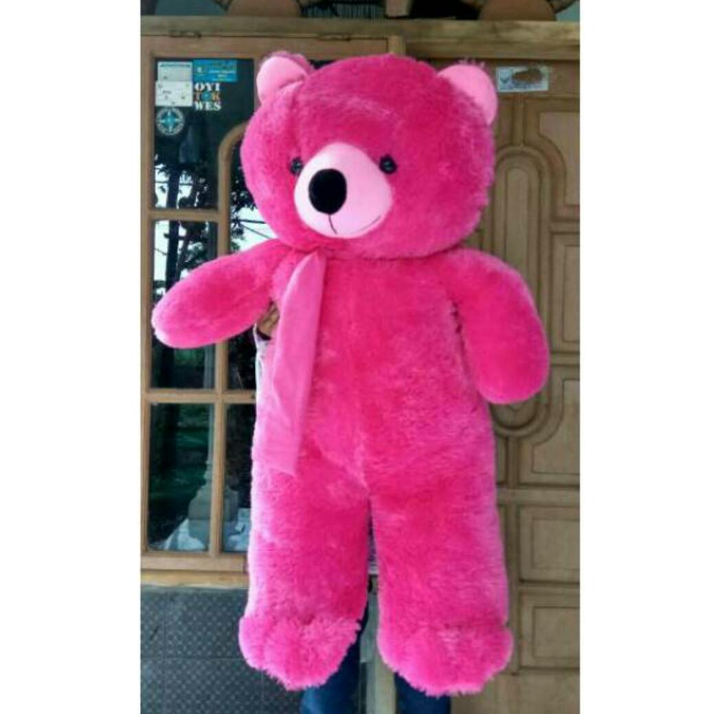 teddy bear in pink