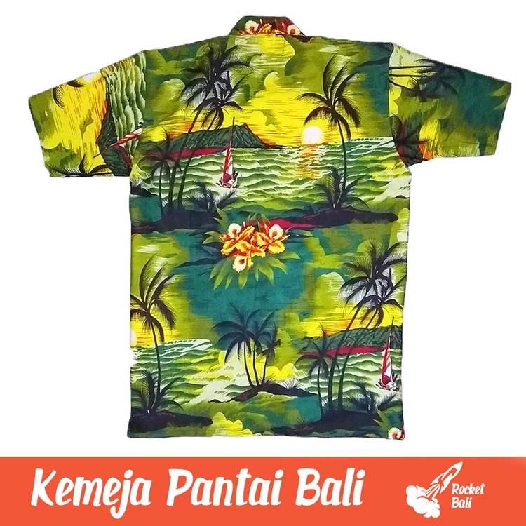 910 Gambar Hewan Laut Apa Yang Biasanya Menjadi Motif Baju Pantai Gratis