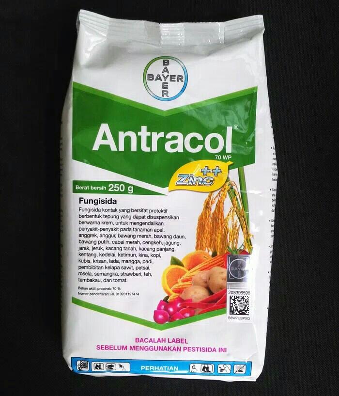 Fungisida Antracol 70 Wp Kemasan 250 Gram Lazada Indonesia