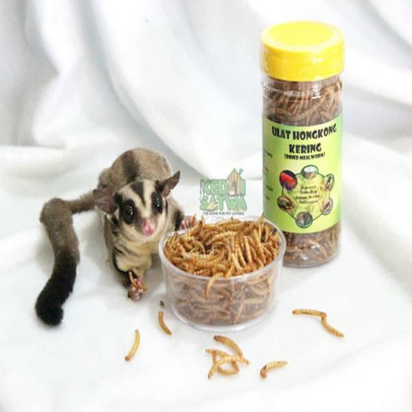 Dried Mealworm Atau Ulat Kering Makanan Sugar Glider Dan Hewan Lainnya