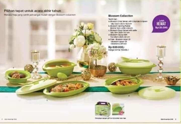 Tupperware Blossom Collection Free 2 Pcs Blossom Bowl tupperware blossom collection free 2 pcs blossom bowl