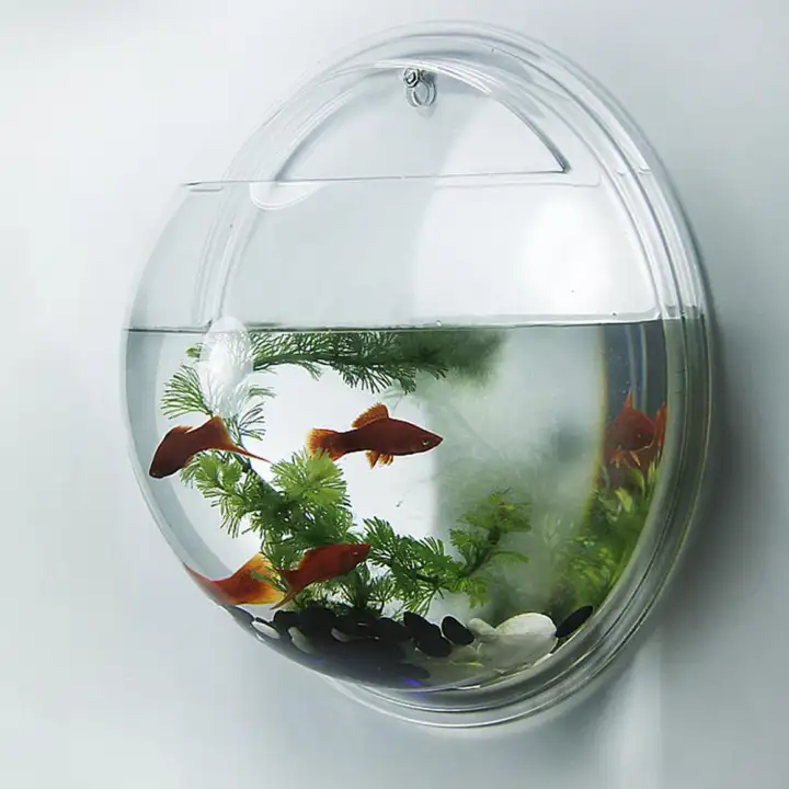 Pretty Acrylic Wall Mount Fish Tank Semicircle Aquarium Home