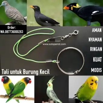 Tali Untuk Burung Kecil Parkit Lovebird Falk Perkici Perkutut
