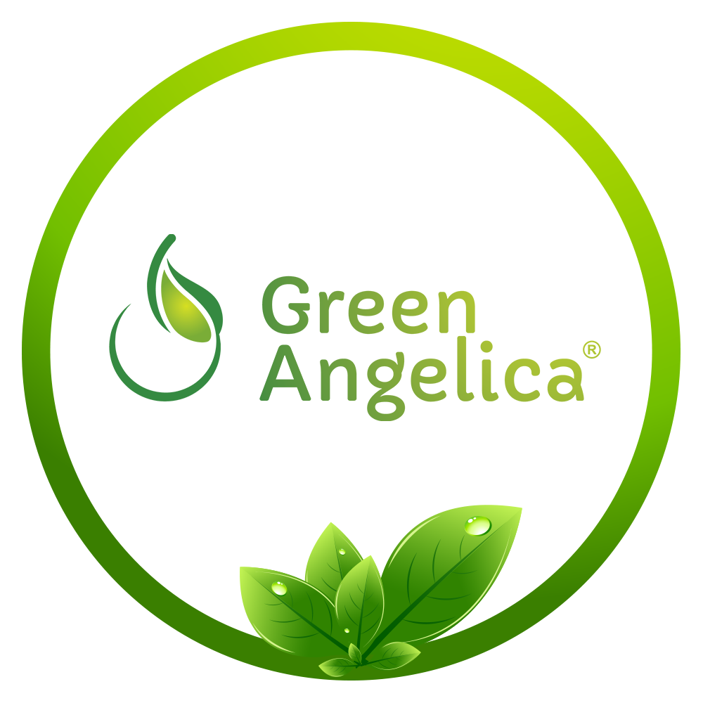 Green Angelica | Lazada Indonesia