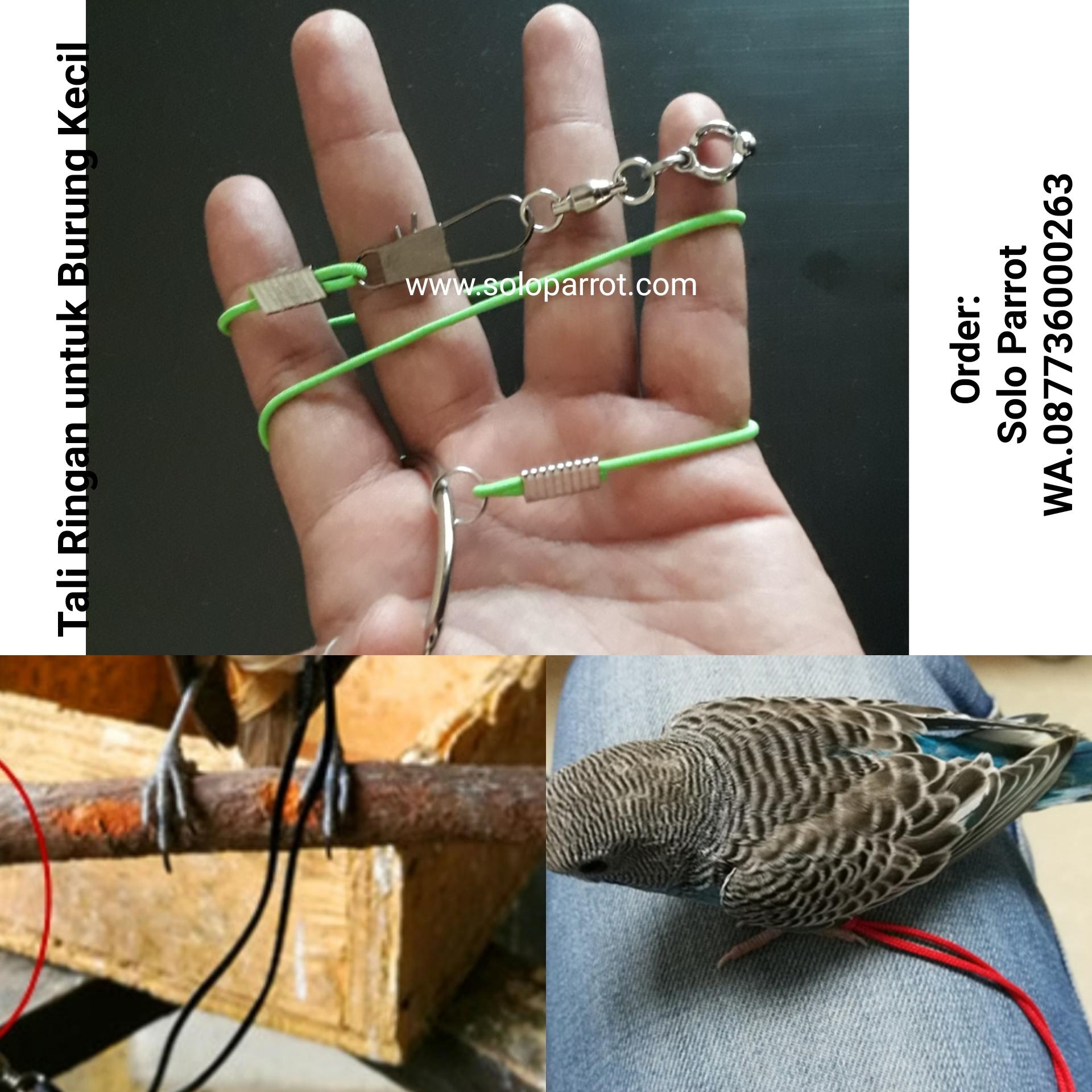 Tali Untuk Burung Kecil Parkit Lovebird Falk Perkici Perkutut