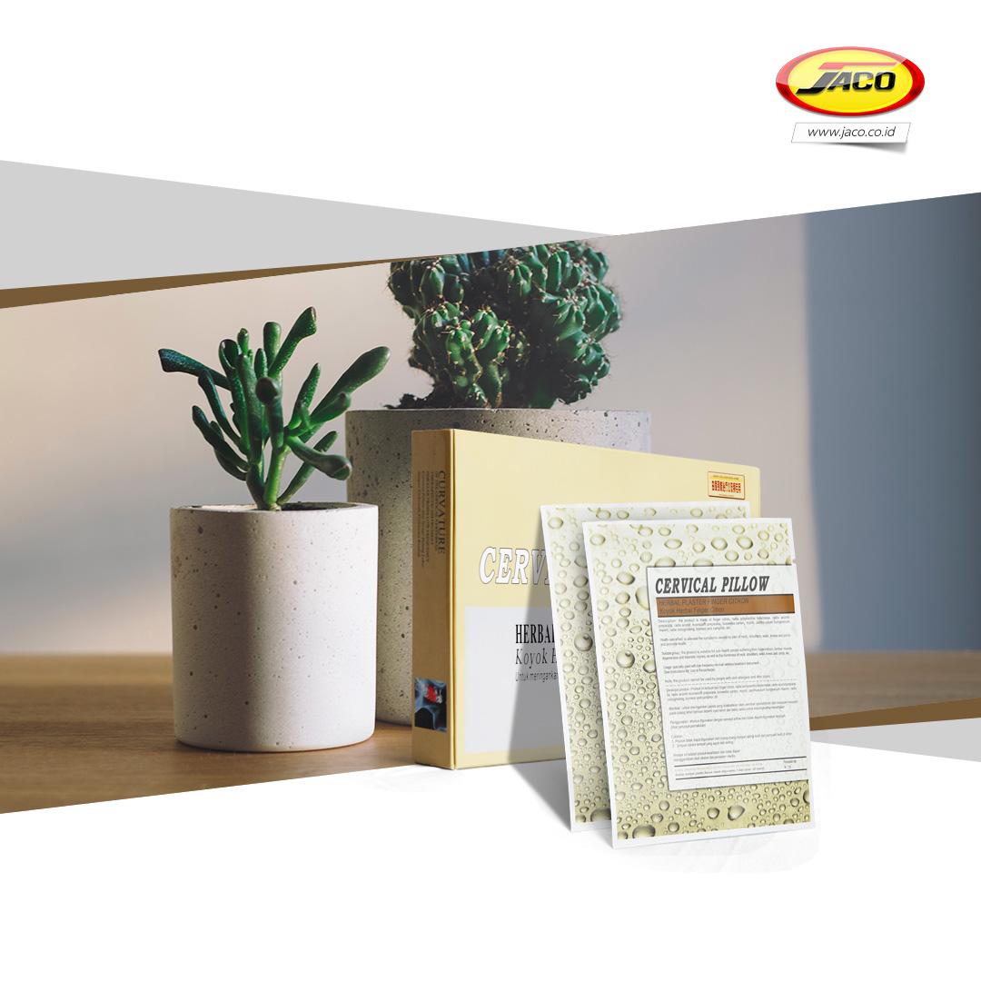 cervical pillow jaco