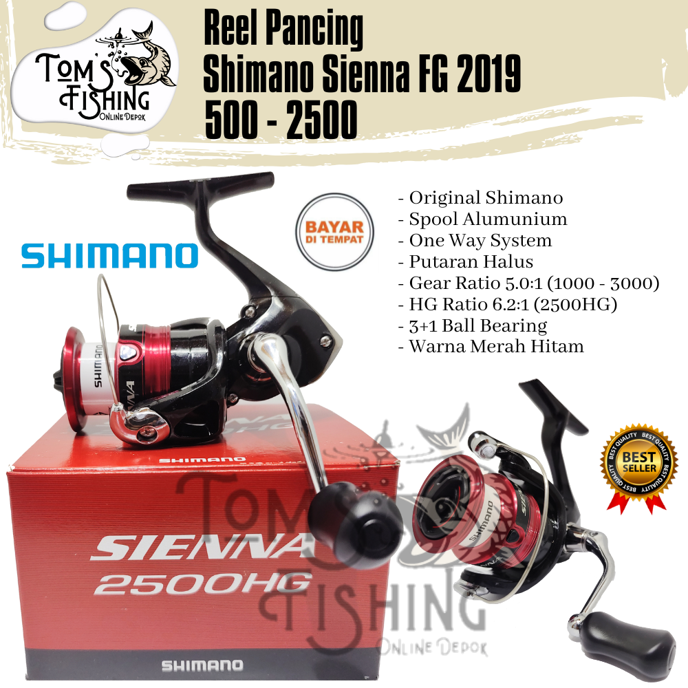 best budget saltwater reels Best Budget Saltwater Jigging Reels: Worth Every Penny  Goofish Rod-More  than fishing