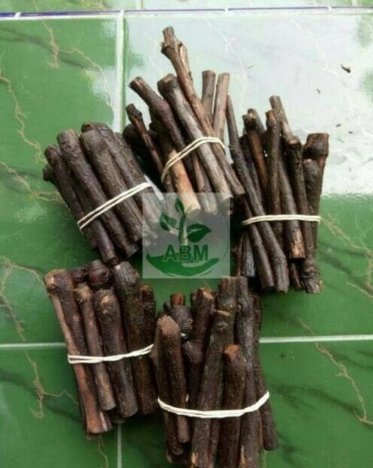 Promo 12 Bibit Batang Stek Anggur Merah Isabella Terbaik