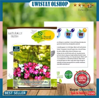 Terbaru Haira Seed Benih Bunga Vinca Gantung Trailing Xp Mix Uwisx Lazada Indonesia