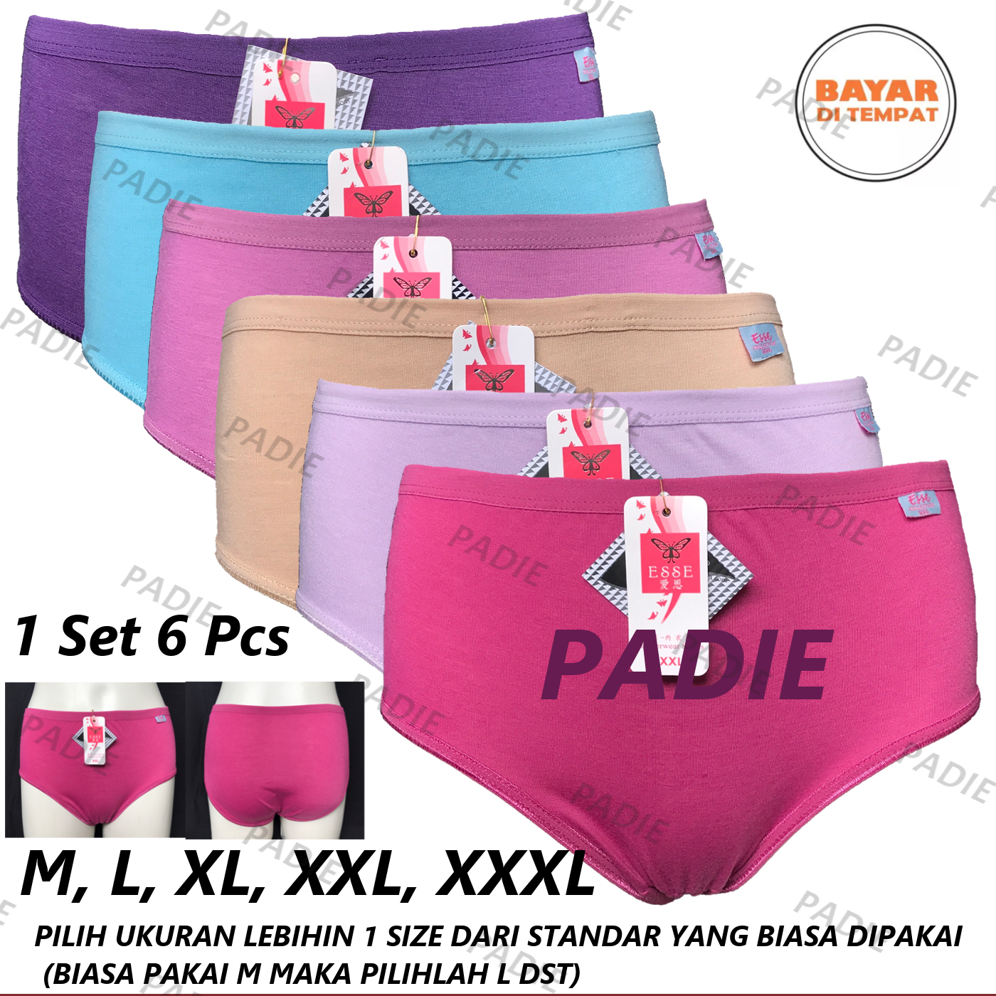PADIe - 6 PCS Celana Dalam / CD Wanita ESSE/TC 828 Multi Colour