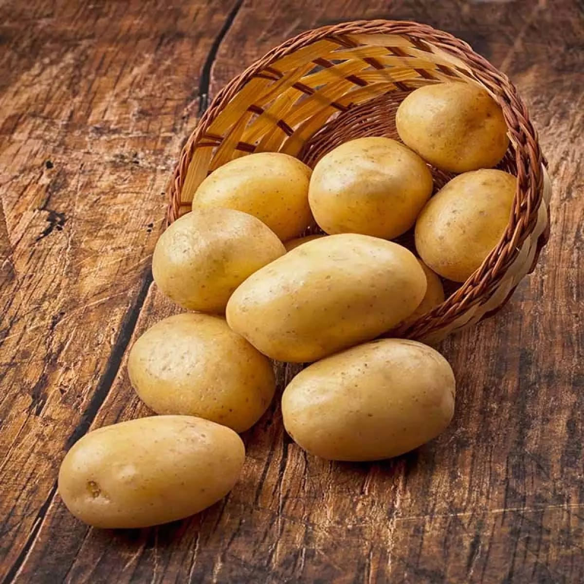 20 Bibit Benih Kentang Granola Mudah Tumbuh Di Daratan Rendah Maupun Tinggi Lazada Indonesia