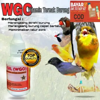 Wgo Vitamin Agar Lovebird Cepat Bertelur Lazada Indonesia