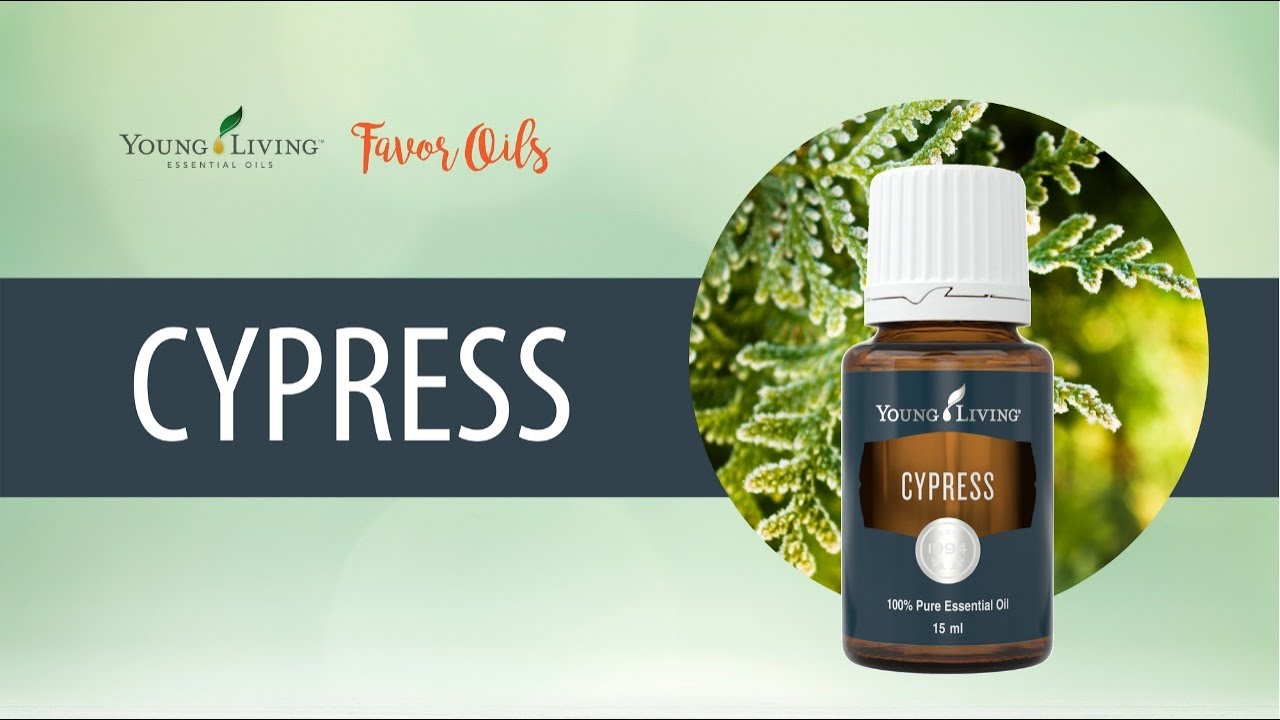 cypress essential oil scent