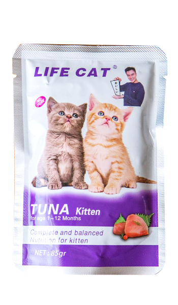 life cat pouch kitten