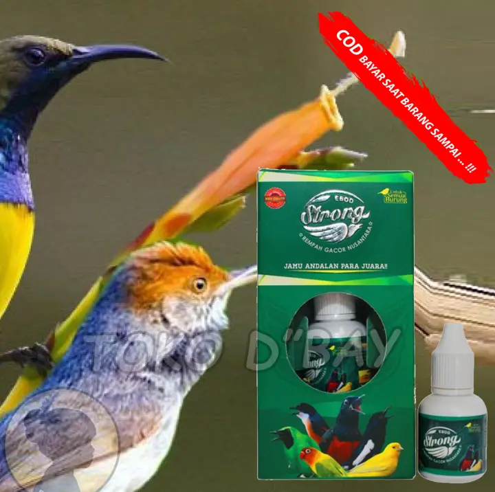 Super Vitamin Herbal Merek Sempati Vitamin Burung Juara Meningkatkan Rajin Kicau Gacor Untuk Murai Shopee Indonesia