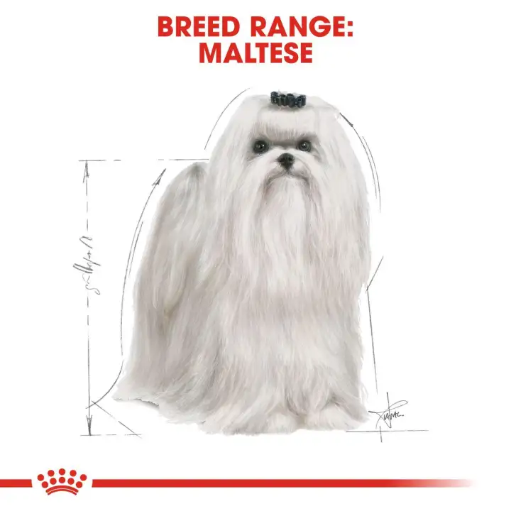 Royal Canin Maltese Adult Makanan Anjing Dewasa Dry 1 5kg Lazada