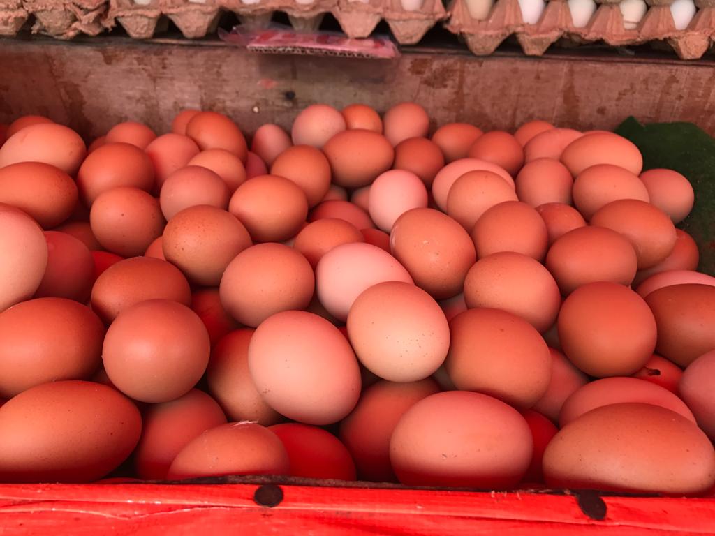 Telur Ayam Negeri Merah Segar Fresh Isi 20 Butir Super 1020 Gram Lazada Indonesia Telur Ayam Negeri Merah Segar Fresh Isi 20 Butir Super 1020 Gram Lazada Indonesia