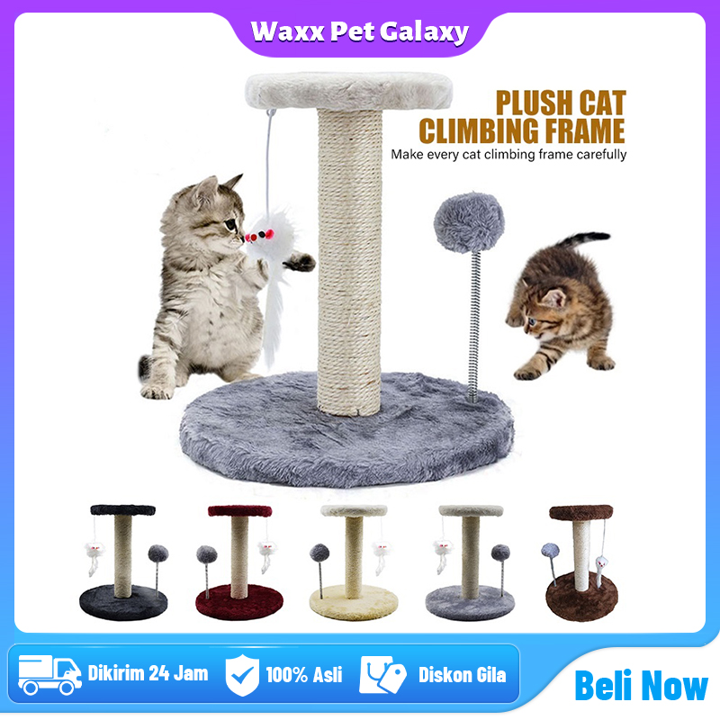 in Cakaran Kucing Cat Scratcher Mainan Garukan Kucing Cat