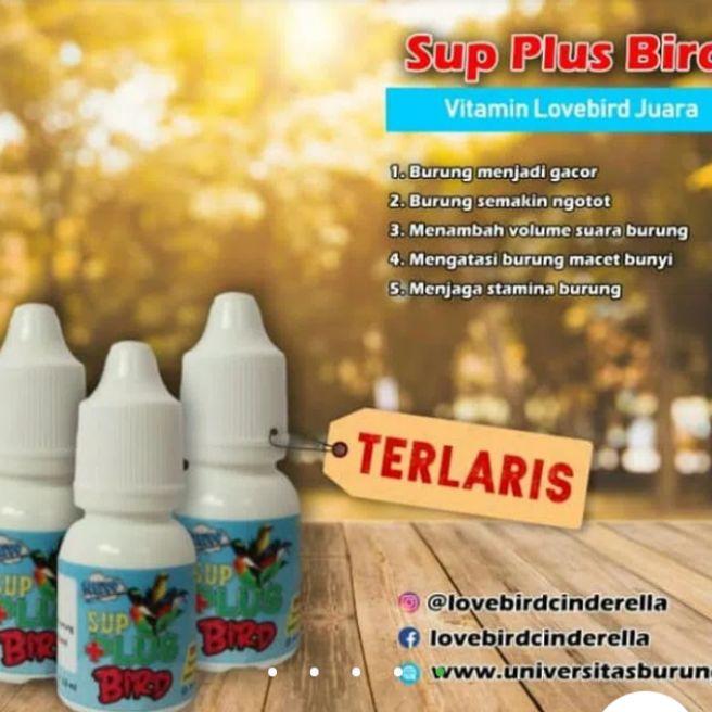 Jual Voltaxe 30ml Suplemen Untuk Meningkatkan Volume Suara Burung Kab Blitar Al Mubarok Shop Tokopedia