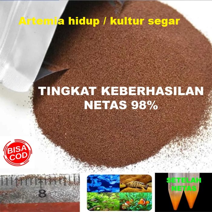 Artemia Hidup Kultur Segar 5gram Lazada Indonesia